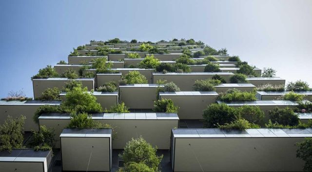 Quelles haies pour lebalcon?
