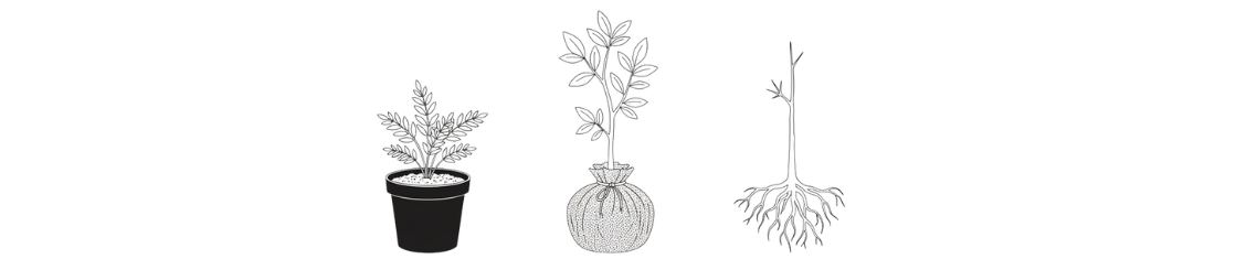 Tailles de pots et dimensions à la livraison