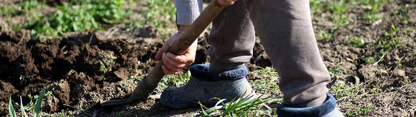Comment planter mes arbustes